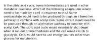 In the citric acid cycle, some intermediates are used in other metabolic reactions. Which of the following adaptations would need to be made by a cell in response to this? Some oxaloacetate would need to be produced through an alternative pathway to combine with acetyl CoA. Some citrate would need to be produced through an alternative pathway to combine with acetyl CoA. The citric acid cycle would eventually shut down when it ran out of intermediates and the cell would switch to glycolysis. Cells would have to use energy sources other than glucose for metabolism.