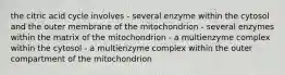 the citric acid cycle involves - several enzyme within the cytosol and the outer membrane of the mitochondrion - several enzymes within the matrix of the mitochondrion - a multienzyme complex within the cytosol - a multienzyme complex within the outer compartment of the mitochondrion