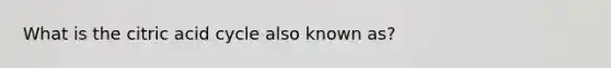 What is the citric acid cycle also known as?