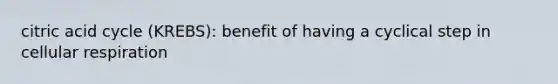 citric acid cycle (KREBS): benefit of having a cyclical step in cellular respiration
