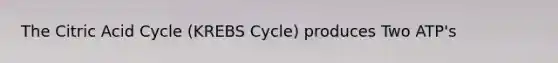 The Citric Acid Cycle (<a href='https://www.questionai.com/knowledge/kqfW58SNl2-krebs-cycle' class='anchor-knowledge'>krebs cycle</a>) produces Two ATP's