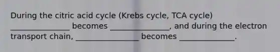 During the citric acid cycle (Krebs cycle, TCA cycle) _______________ becomes _______________, and during the electron transport chain, ________________ becomes ______________.