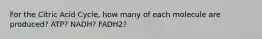 For the Citric Acid Cycle, how many of each molecule are produced? ATP? NADH? FADH2?