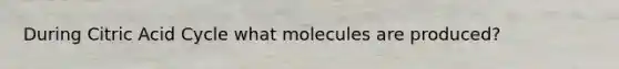 During Citric Acid Cycle what molecules are produced?