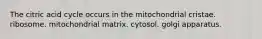 The citric acid cycle occurs in the mitochondrial cristae. ribosome. mitochondrial matrix. cytosol. golgi apparatus.