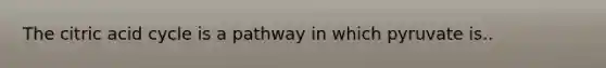 The citric acid cycle is a pathway in which pyruvate is..