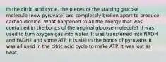 In the citric acid cycle, the pieces of the starting glucose molecule (now pyruvate) are completely broken apart to produce carbon dioxide. What happened to all the energy that was contained in the bonds of the original glucose molecule? It was used to turn oxygen gas into water. It was transferred into NADH and FADH2 and some ATP. It is still in the bonds of pyruvate. It was all used in the citric acid cycle to make ATP. It was lost as heat.