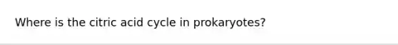 Where is the citric acid cycle in prokaryotes?