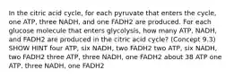 In the citric acid cycle, for each pyruvate that enters the cycle, one ATP, three NADH, and one FADH2 are produced. For each glucose molecule that enters glycolysis, how many ATP, NADH, and FADH2 are produced in the citric acid cycle? (Concept 9.3) SHOW HINT four ATP, six NADH, two FADH2 two ATP, six NADH, two FADH2 three ATP, three NADH, one FADH2 about 38 ATP one ATP, three NADH, one FADH2