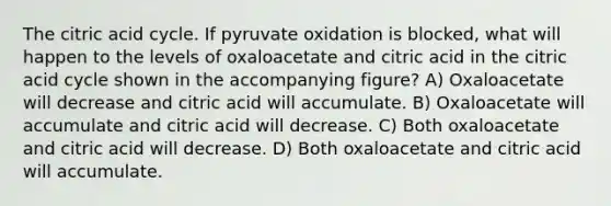 The citric acid cycle. If pyruvate oxidation is blocked, what will happen to the levels of oxaloacetate and citric acid in the citric acid cycle shown in the accompanying figure? A) Oxaloacetate will decrease and citric acid will accumulate. B) Oxaloacetate will accumulate and citric acid will decrease. C) Both oxaloacetate and citric acid will decrease. D) Both oxaloacetate and citric acid will accumulate.