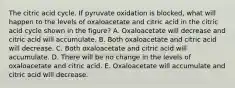 The citric acid cycle. If pyruvate oxidation is blocked, what will happen to the levels of oxaloacetate and citric acid in the citric acid cycle shown in the figure? A. Oxaloacetate will decrease and citric acid will accumulate. B. Both oxaloacetate and citric acid will decrease. C. Both oxaloacetate and citric acid will accumulate. D. There will be no change in the levels of oxaloacetate and citric acid. E. Oxaloacetate will accumulate and citric acid will decrease.