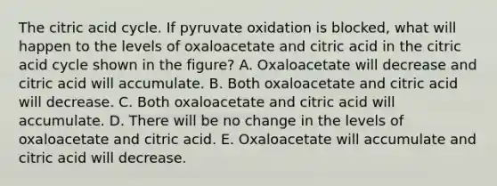 The citric acid cycle. If pyruvate oxidation is blocked, what will happen to the levels of oxaloacetate and citric acid in the citric acid cycle shown in the figure? A. Oxaloacetate will decrease and citric acid will accumulate. B. Both oxaloacetate and citric acid will decrease. C. Both oxaloacetate and citric acid will accumulate. D. There will be no change in the levels of oxaloacetate and citric acid. E. Oxaloacetate will accumulate and citric acid will decrease.