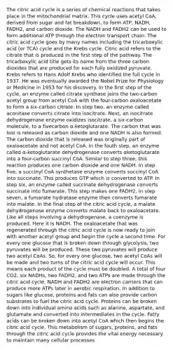 The citric acid cycle is a series of chemical reactions that takes place in the mitochondrial matrix. This cycle uses acetyl CoA, derived from sugar and fat breakdown, to form ATP, NADH, FADH2, and carbon dioxide. The NADH and FADH2 can be used to form additional ATP through the electron transport chain. The citric acid cycle goes by many names including the tricarboxylic acid (or TCA) cycle and the Krebs cycle. Citric acid refers to the citrate that is produced in the first step of the pathway. The tricarboxylic acid title gets its name from the three carbon dioxides that are produced for each fully oxidized pyruvate. Krebs refers to Hans Adolf Krebs who identified the full cycle in 1937. He was eventually awarded the Nobel Prize for Physiology or Medicine in 1953 for his discovery. In the first step of the cycle, an enzyme called citrate synthase joins the two-carbon acetyl group from acetyl CoA with the four-carbon oxaloacetate to form a six-carbon citrate. In step two, an enzyme called aconitase converts citrate into isocitrate. Next, an isocitrate dehydrogenase enzyme oxidizes isocitrate, a six-carbon molecule, to a fivecarbon α-ketoglutarate. The carbon that was lost is released as carbon dioxide and one NADH is also formed. The carbon dioxide that is released was originally part of oxaloacetate and not acetyl CoA. In the fouth step, an enzyme called α-ketoglutarate dehydrogenase converts αketoglutarate into a four-carbon succinyl CoA. Similar to step three, this reaction produces one carbon dioxide and one NADH. In step five, a succinyl CoA synthetase enzyme converts succinyl CoA into succinate. This produces GTP which is converted to ATP. In step six, an enzyme called succinate dehydrogenase converts succinate into fumarate. This step makes one FADH2. In step seven, a fumarate hydratase enzyme then converts fumarate into malate. In the final step of the citric acid cycle, a malate dehydrogenase enzyme converts malate back to oxaloacetate. Like all steps involving a dehydrogenase, a coenzyme is produced. Here it is NADH. The oxaloacetate that was regenerated through the citric acid cycle is now ready to join with another acetyl group and begin the cycle a second time. For every one glucose that is broken down through glycolysis, two pyruvates will be produced. These two pyruvates will produce two acetyl CoAs. So, for every one glucose, two acetyl CoAs will be made and two turns of the citric acid cycle will occur. This means each product of the cycle must be doubled. A total of four CO2, six NADHs, two FADH2, and two ATPs are made through the citric acid cycle. NADH and FADH2 are electron carriers that can produce more ATPs later in aerobic respiration. In addition to sugars like glucose, proteins and fats can also provide carbon substrates to fuel the citric acid cycle. Proteins can be broken down into individual amino acids such as alanine, aspartate, and glutamate and converted into intermediates in the cycle. Fatty acids can be broken down into acetyl CoA which then begins the citric acid cycle. This metabolism of sugars, proteins, and fats through the citric acid cycle provides the vital energy necessary to maintain many cellular processes