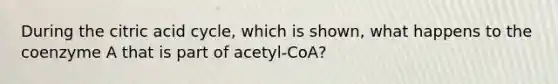 During the citric acid cycle, which is shown, what happens to the coenzyme A that is part of acetyl-CoA?