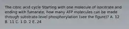 The citric acid cycle Starting with one molecule of isocitrate and ending with fumarate, how many ATP molecules can be made through substrate-level phosphorylation (see the figure)? A. 12 B. 11 C. 1 D. 2 E. 24