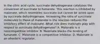 In the citric acid cycle, succinate dehydrogenase catalyzes the conversion of succinate to fumarate. This reaction is inhibited by malonate, which resembles succinate but cannot be acted upon by succinate dehydrogenase. Increasing the ratio of succinate molecules to those of malonate in the reaction reduces the inhibitory effect of malonate. What role does malonate play with respect to succinate dehydrogenase? A. Malonate is a noncompetitive inhibitor. B. Malonate blocks the binding of fumarate. C. Malonate is a competitive inhibitor. D. Malonate is an allosteric regulator.