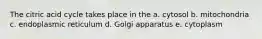 The citric acid cycle takes place in the a. cytosol b. mitochondria c. endoplasmic reticulum d. Golgi apparatus e. cytoplasm