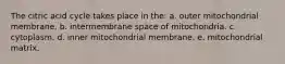 The citric acid cycle takes place in the: a. outer mitochondrial membrane. b. intermembrane space of mitochondria. c. cytoplasm. d. inner mitochondrial membrane. e. mitochondrial matrix.