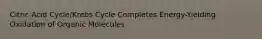 Citric Acid Cycle/Krebs Cycle Completes Energy-Yielding Oxidation of Organic Molecules