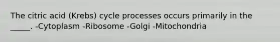 The citric acid (Krebs) cycle processes occurs primarily in the _____. -Cytoplasm -Ribosome -Golgi -Mitochondria