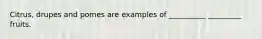 Citrus, drupes and pomes are examples of __________ _________ fruits.