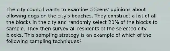 The city council wants to examine citizens' opinions about allowing dogs on the city's beaches. They construct a list of all the blocks in the city and randomly select 20% of the blocks to sample. They then survey all residents of the selected city blocks. This sampling strategy is an example of which of the following sampling techniques?