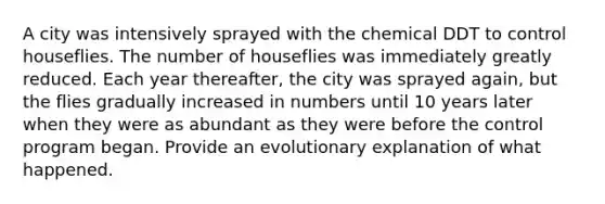 A city was intensively sprayed with the chemical DDT to control houseflies. The number of houseflies was immediately greatly reduced. Each year thereafter, the city was sprayed again, but the flies gradually increased in numbers until 10 years later when they were as abundant as they were before the control program began. Provide an evolutionary explanation of what happened.