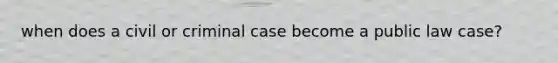 when does a civil or criminal case become a public law case?