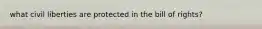what civil liberties are protected in the bill of rights?