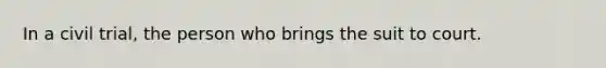 In a civil trial, the person who brings the suit to court.