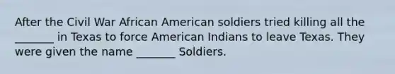 After the Civil War African American soldiers tried killing all the _______ in Texas to force American Indians to leave Texas. They were given the name _______ Soldiers.