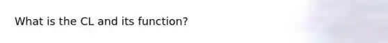 What is the CL and its function?