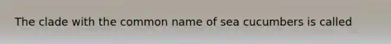 The clade with the common name of sea cucumbers is called