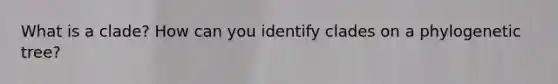 What is a clade? How can you identify clades on a phylogenetic tree?
