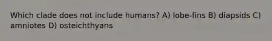 Which clade does not include humans? A) lobe-fins B) diapsids C) amniotes D) osteichthyans