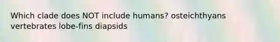 Which clade does NOT include humans? osteichthyans vertebrates lobe-fins diapsids