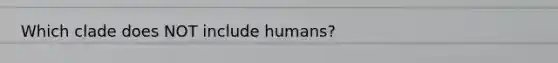 Which clade does NOT include humans?