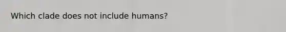 Which clade does not include humans?