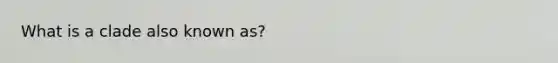What is a clade also known as?