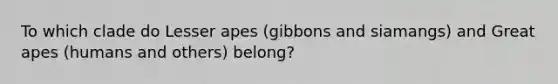 To which clade do Lesser apes (gibbons and siamangs) and Great apes (humans and others) belong?