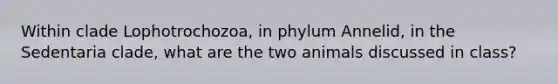 Within clade Lophotrochozoa, in phylum Annelid, in the Sedentaria clade, what are the two animals discussed in class?