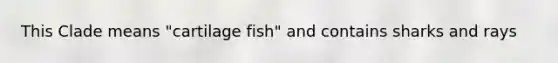 This Clade means "cartilage fish" and contains sharks and rays