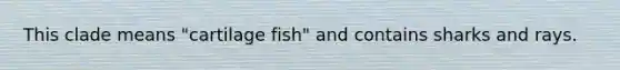 This clade means "cartilage fish" and contains sharks and rays.