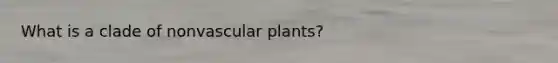 What is a clade of nonvascular plants?