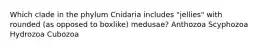 Which clade in the phylum Cnidaria includes "jellies" with rounded (as opposed to boxlike) medusae? Anthozoa Scyphozoa Hydrozoa Cubozoa