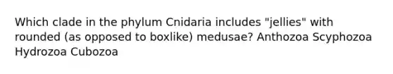 Which clade in the phylum Cnidaria includes "jellies" with rounded (as opposed to boxlike) medusae? Anthozoa Scyphozoa Hydrozoa Cubozoa