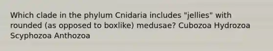 Which clade in the phylum Cnidaria includes "jellies" with rounded (as opposed to boxlike) medusae? Cubozoa Hydrozoa Scyphozoa Anthozoa