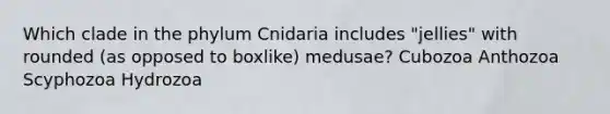 Which clade in the phylum Cnidaria includes "jellies" with rounded (as opposed to boxlike) medusae? Cubozoa Anthozoa Scyphozoa Hydrozoa