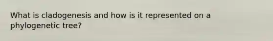 What is cladogenesis and how is it represented on a phylogenetic tree?