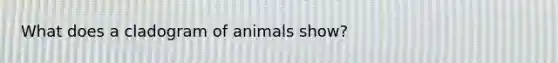 What does a cladogram of animals show?